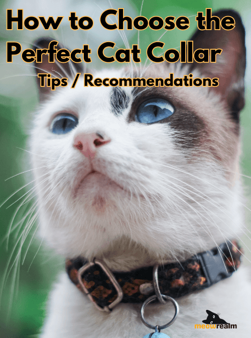 Cat Collar