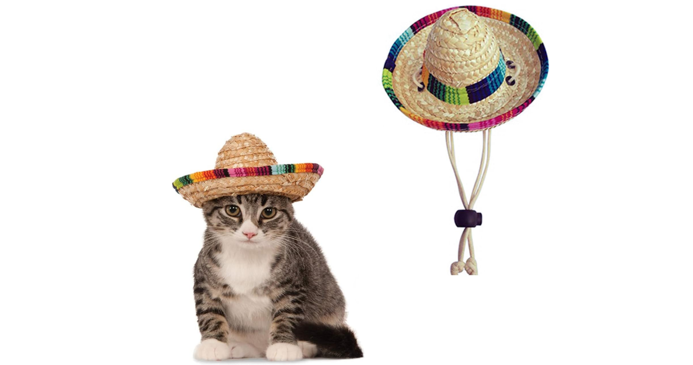Hat for Cats