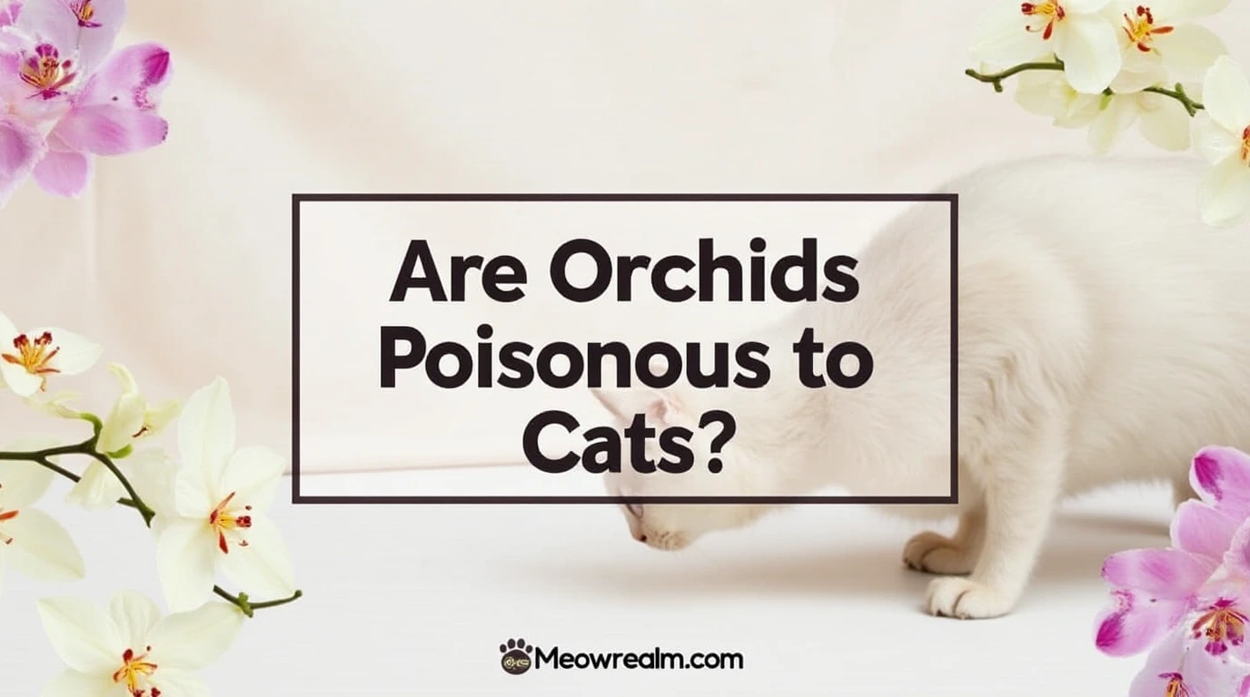 Orchids Poisonous to Cats