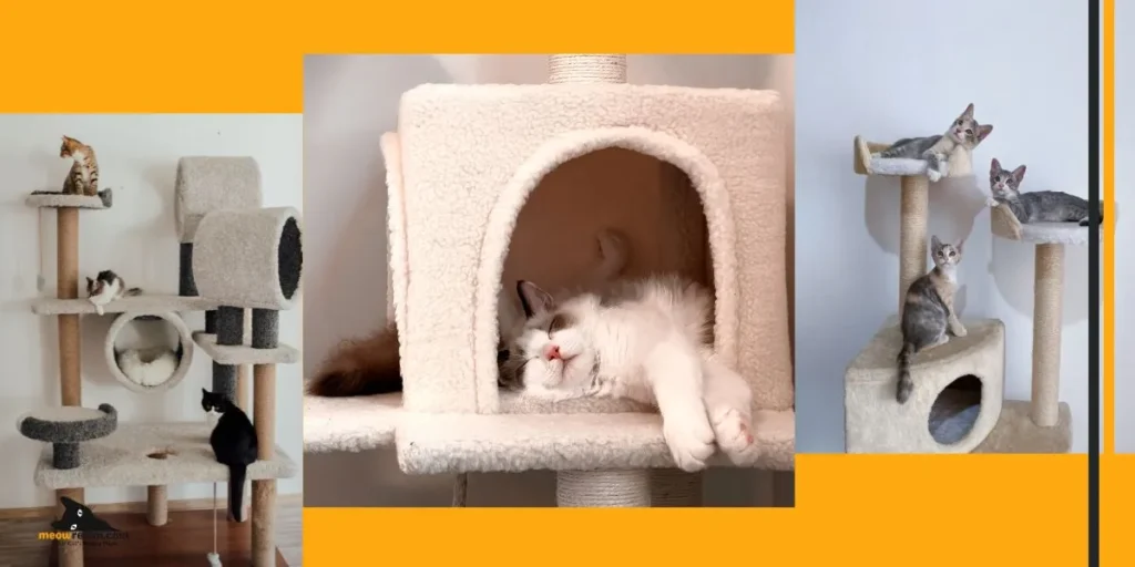 cat tree house