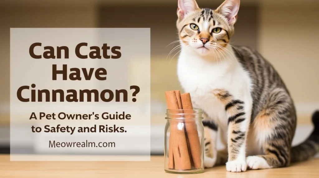 A curious cat sitting near a jar of cinnamon sticks, raising questions about whether cats can have cinnamon safely.