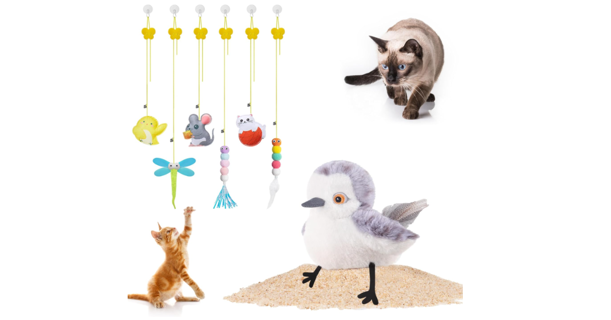 5 Reasons the Potaroma Flapping Sandpiper Is the Best Cat Toy