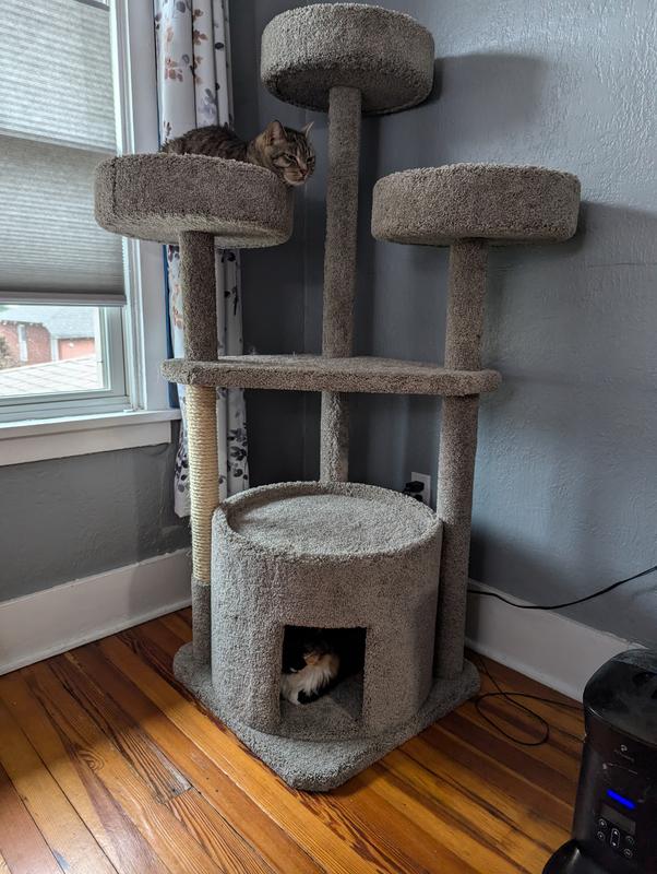 Maine Coon Cat Tree Costco: 5 Powerful Reasons to Buy the Best for $199.99