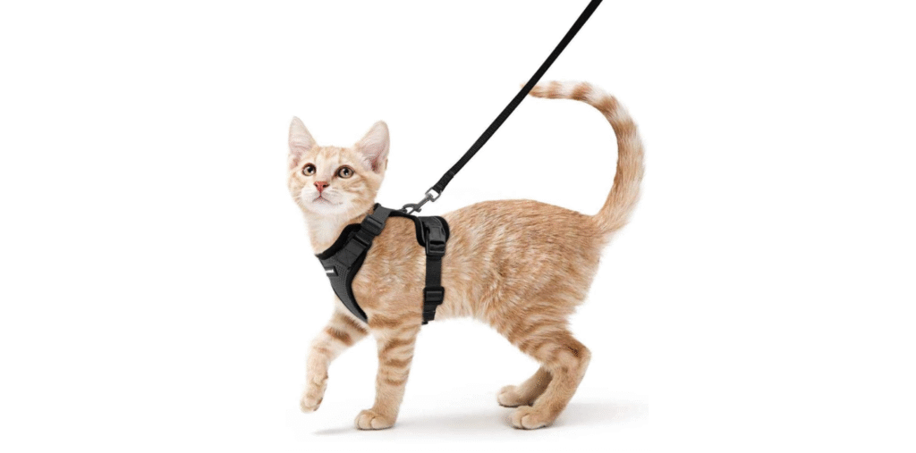 rabbitgoo Cat Harness