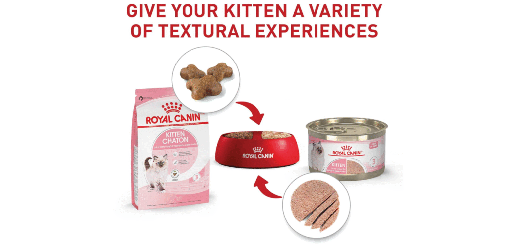 royal canin mother and babycat