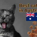 best cat food in Australia