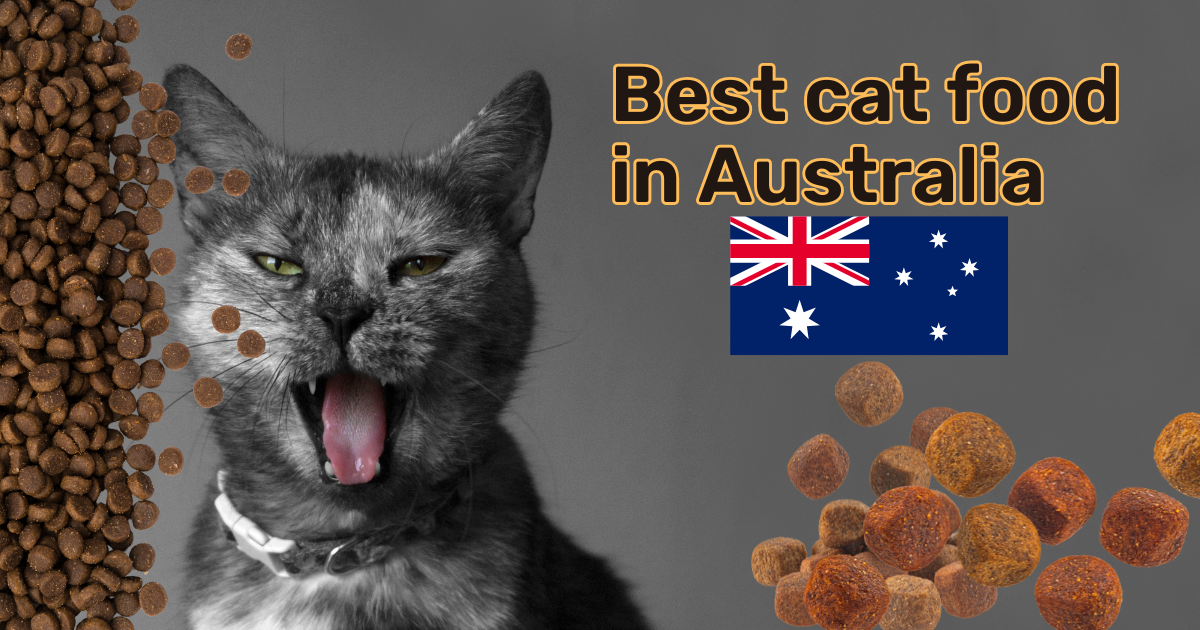 best cat food in Australia