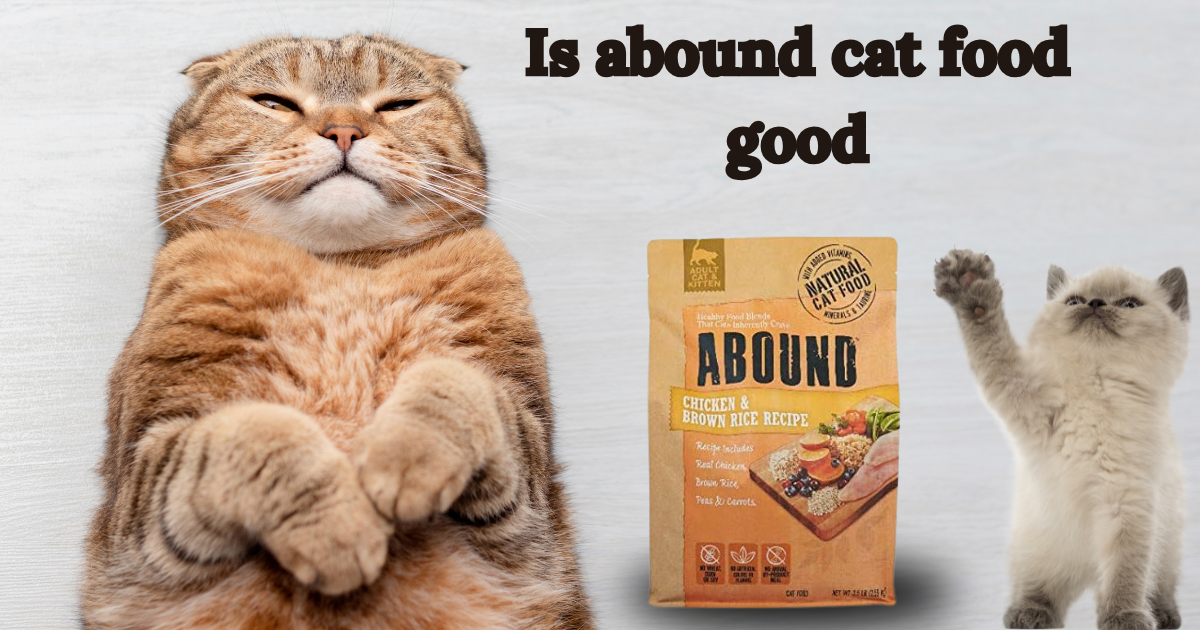 is abound cat food good