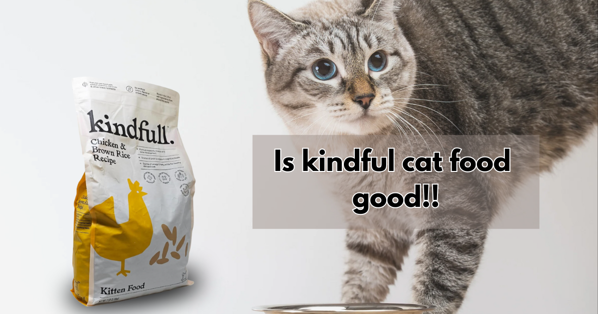 is kindful cat food good!! CAT FOOD
