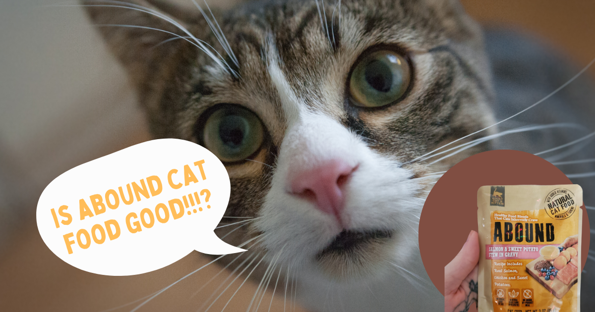 is abound cat food good!!!