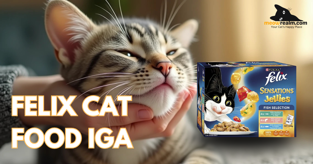 felix cat food iga