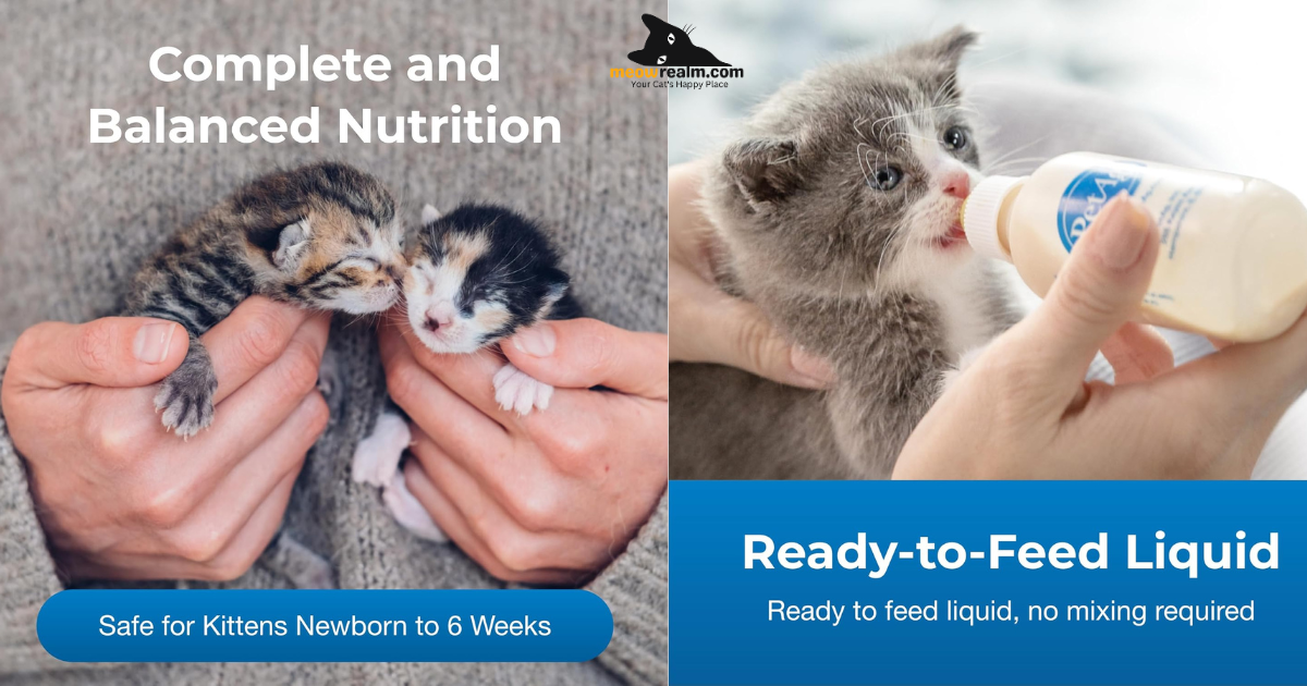 cat formula for kittens