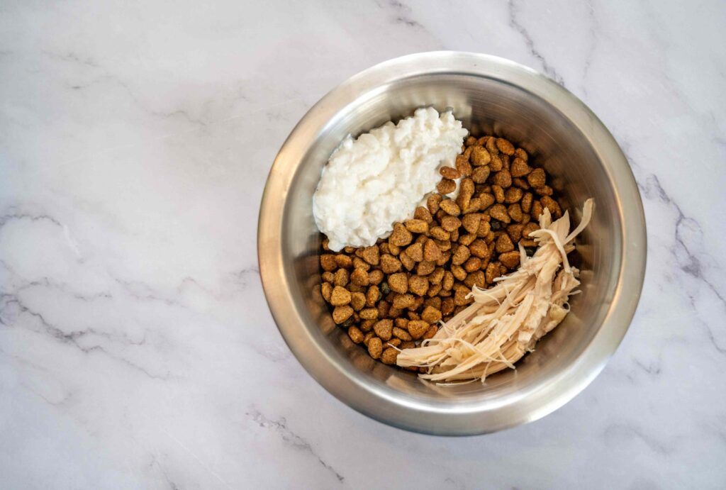 Can Dogs Eat Cottage Cheese